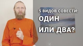 Пять видов совести. 2 - Один или два?