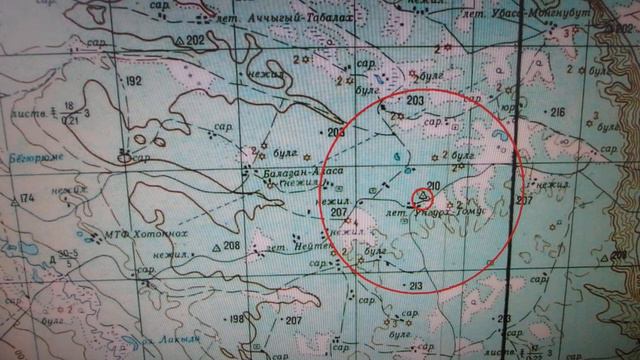 Способы ориентирования, или почему люди блуждают в лесу