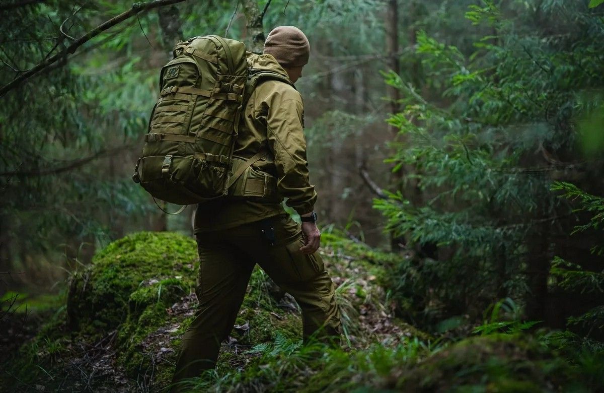 ПВД в лес.  Завтрак в лесу.  Сосновые шишки на сироп)))