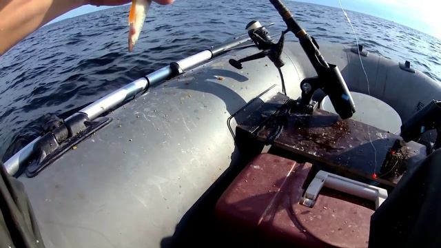 Рыбалка на Финском заливе. Отчёт за 28.07.2024. РЛЦ "Раскат". Плотва, окунь, густера.