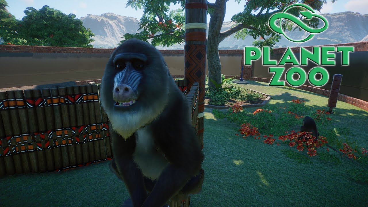 Planet Zoo S2 E13 - Вольер для Мандрилов