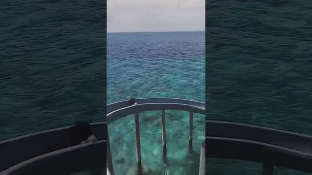 Вы хотите так?