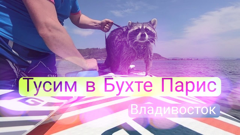 Бухта Парис во Владивостоке. Вокруг рыбаки и сёрферы. Енот Витя повел меня гулять