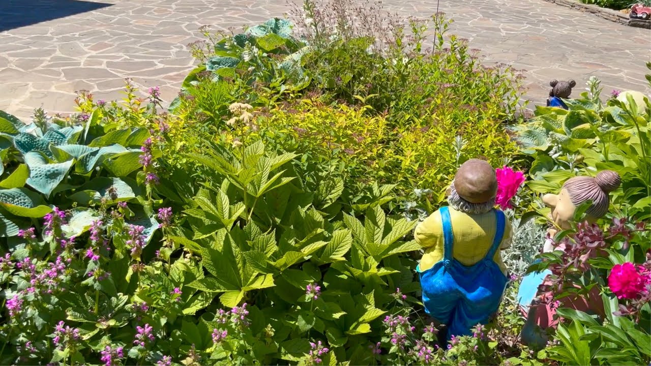 КАТАЛОГ РАСТЕНИЙ. МНОГОЛЕТНИЕ ТРАВЯНИСТЫЕ. О-Я. Четвертая часть. Дачный. креатив.