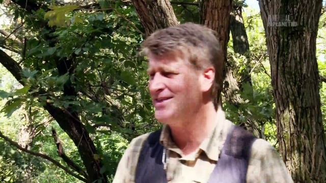 Дома на деревьях 7 серия «Волшебный домик» (документальный сериал, 2015)