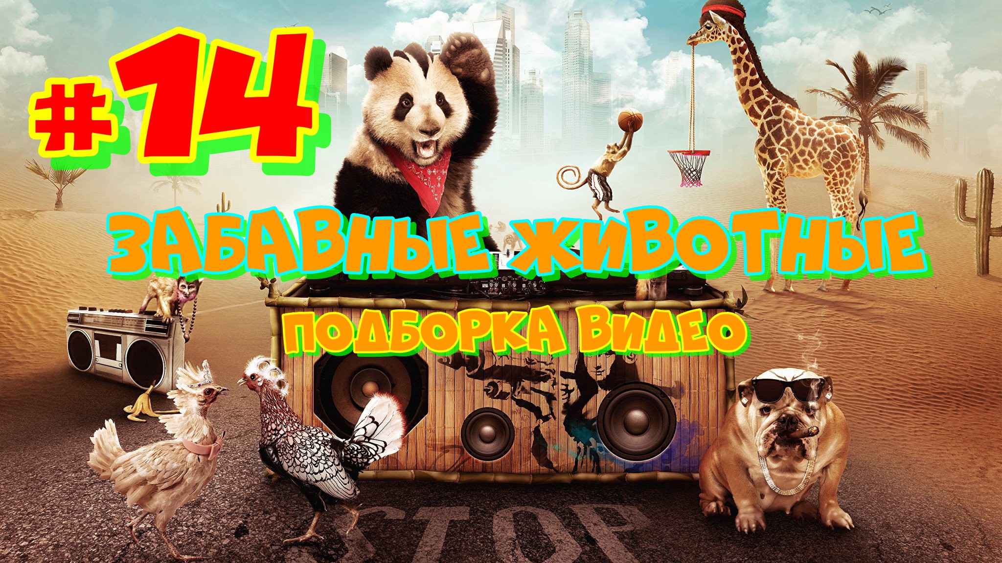 Забавные животные /  Подборка видео №14