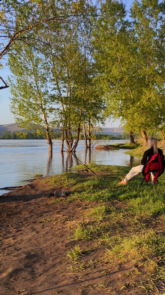 Река вышла из берегов