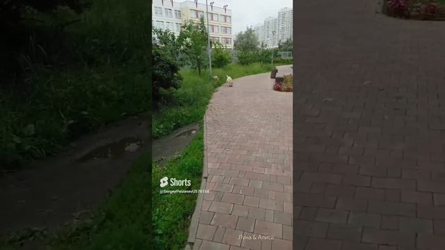 На позитиве и на постоянном движе.mp4