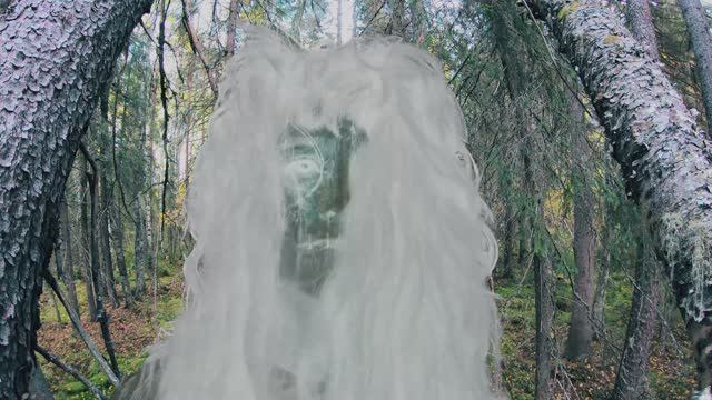 Страшный лес в окрестностях Емвы ))) Видео от первого лица.