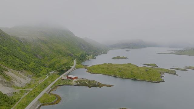 Животный мир| Dolby Vision 12K HDR