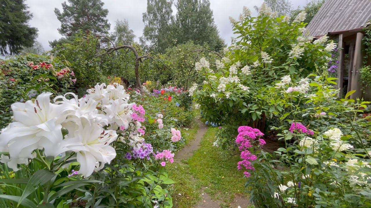 17 августа 2023 часть 1