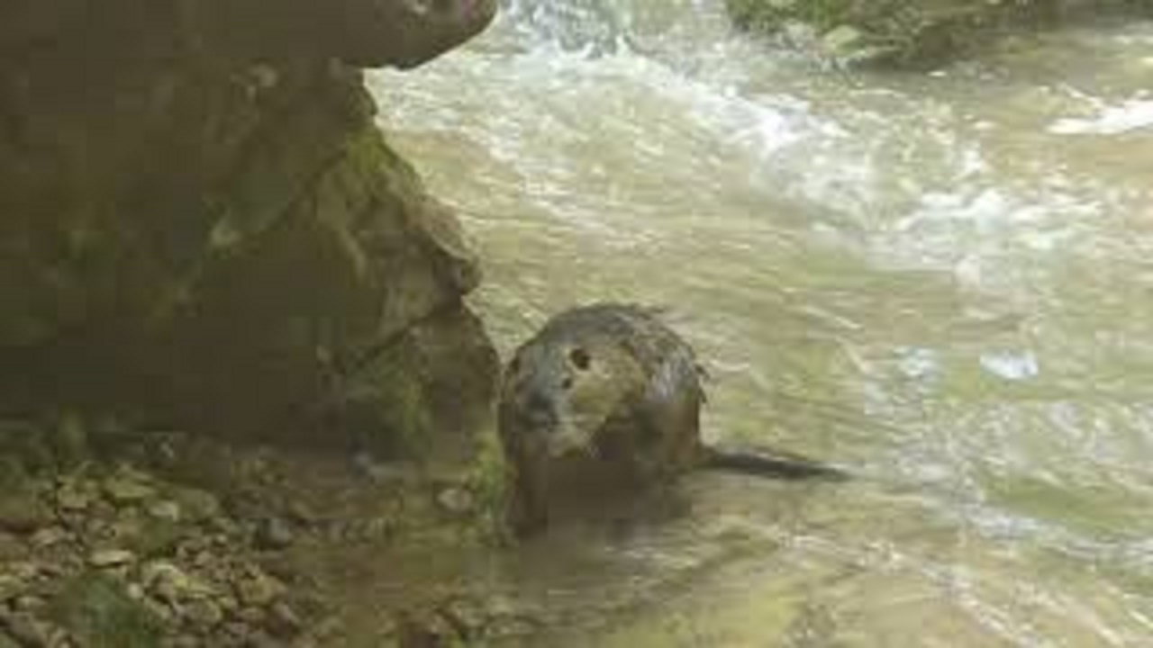 40. ВОДОПАДЫ РУФАБГО / РЕСПУБЛИКА АДЫГЕЯ ЧАСТЬ 2