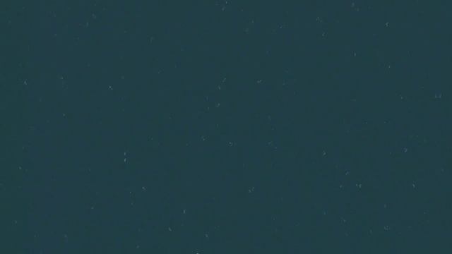 MelomanicaTV представляет : Фильм Сергея РАzoom Фокина. Одиночество. 2011 год.