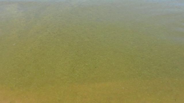 АНАПА Бюджетно  в Сезон!! Гостевой Дом Лето