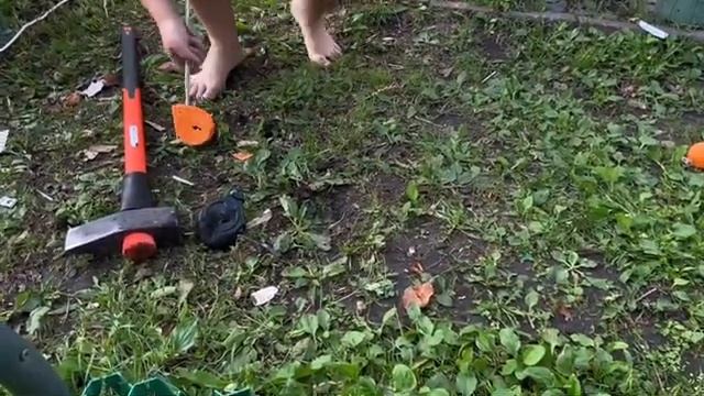 Crash test рулетки