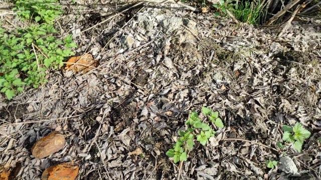 Остатки противогаза