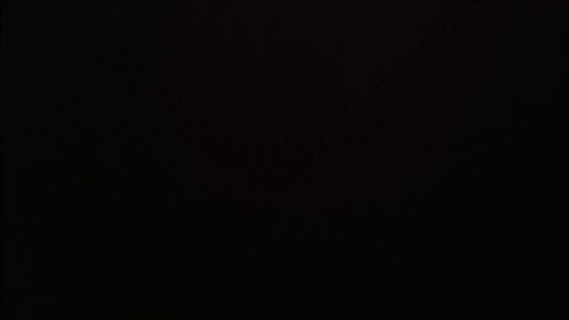 СКИБИДИ звери 17