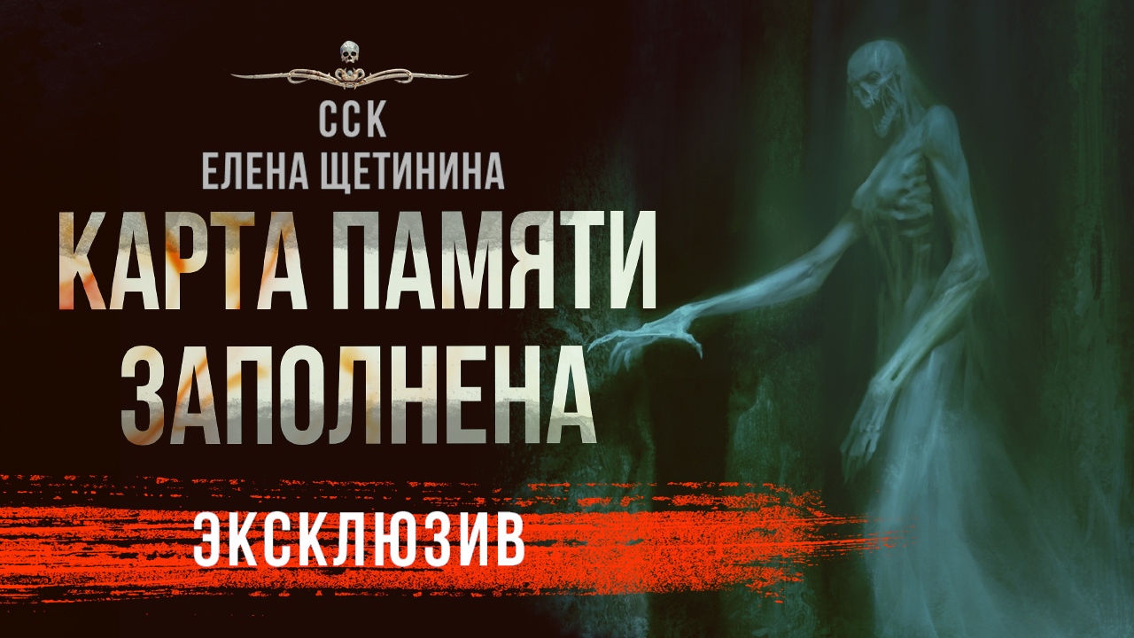 КАРТА ПАМЯТИ ЗАПОЛНЕНА | Ужасы | Елена Щетинина | Рассказ