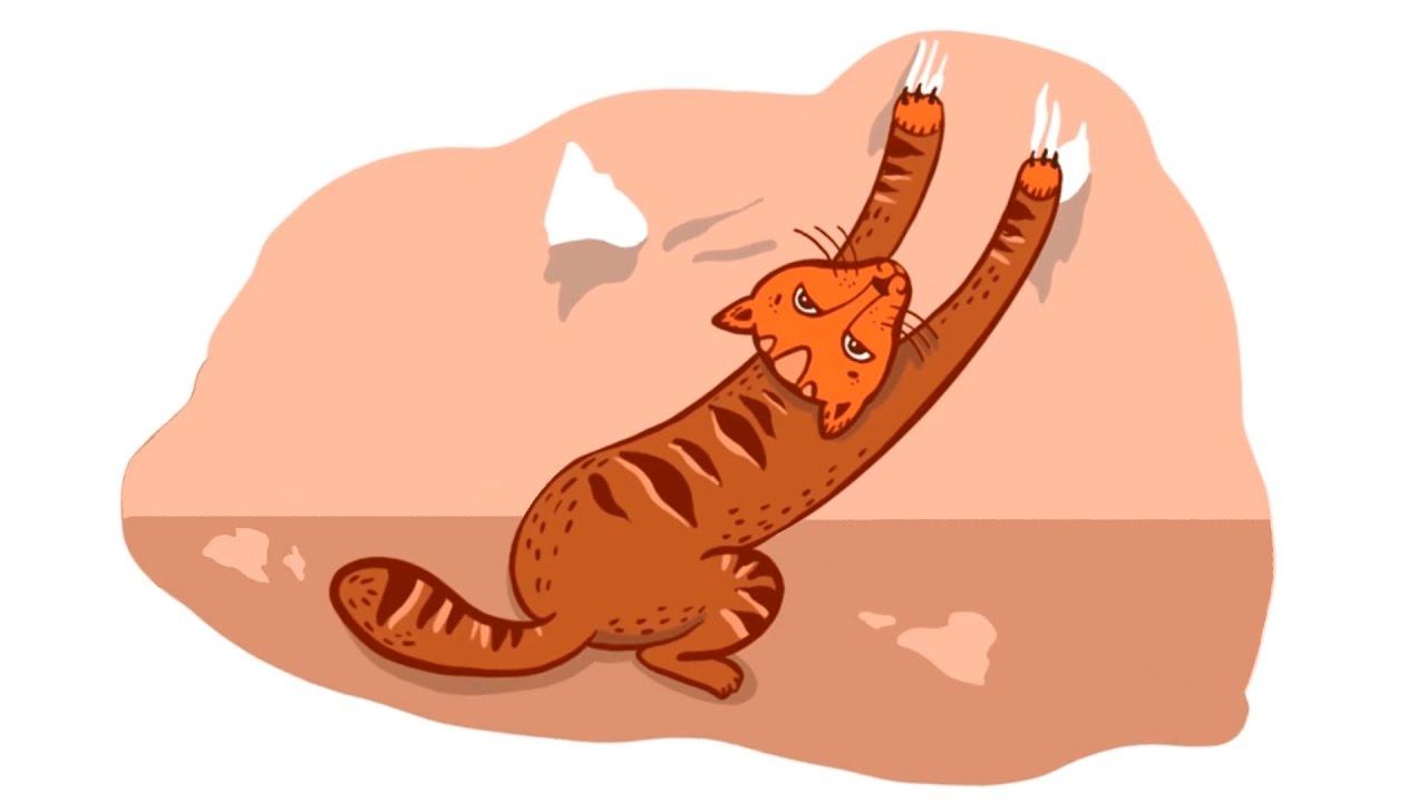 ЧТО ОЗНАЧАЕТ ВЫРАЖЕНИЕ "TO START FROM SCRATCH"?