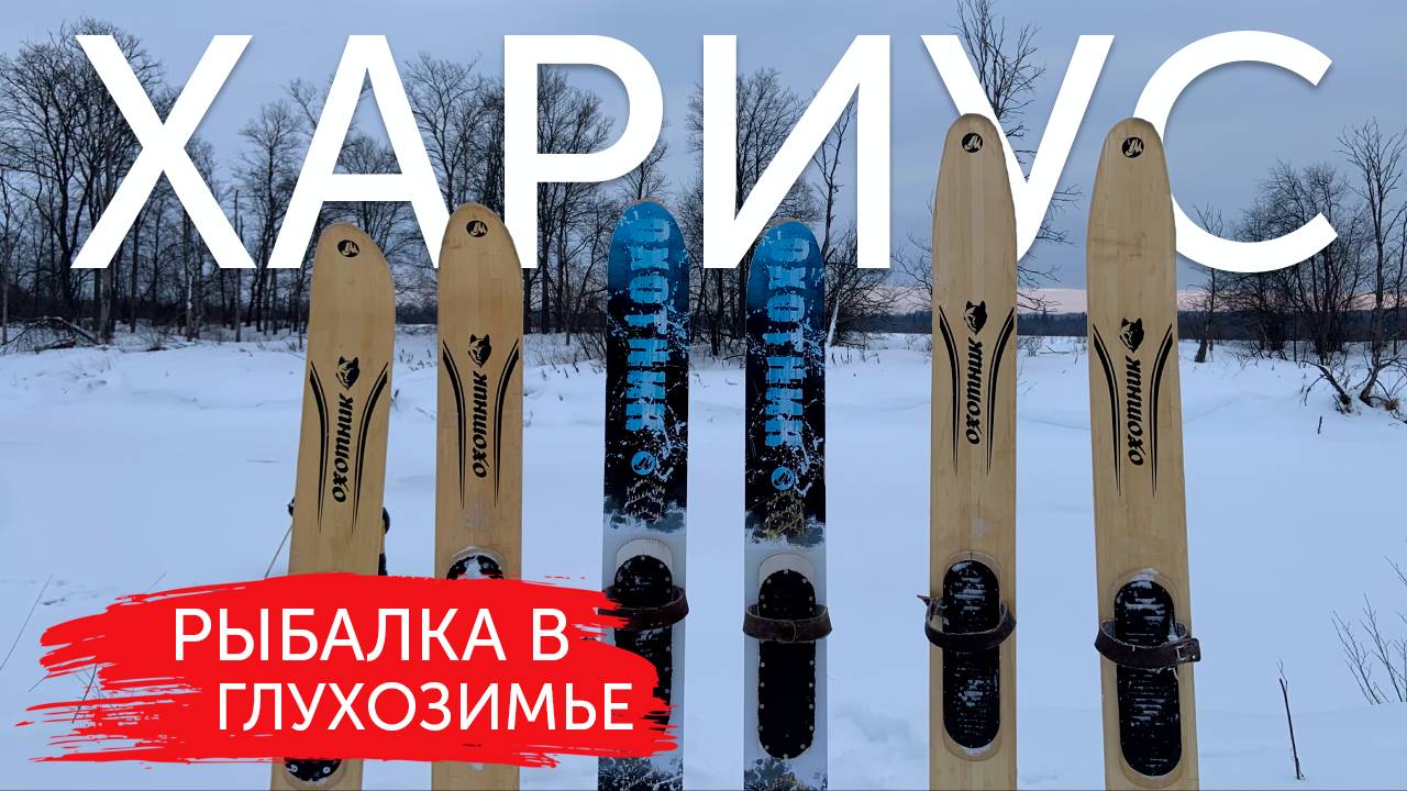 КТО СЛОМАЛ КРЮЧОК? Прекрасный день на реке в разгар глухозимья.