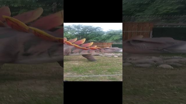 Великие Луки. Динопарк. 2021 год