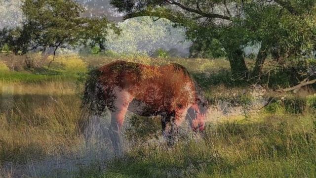 "ВОТ РЕЧКА ЛЬЁТСЯ"... (Фото Игоря Баранова (Рязань) - Ансамбль "Воронежские Девчата")