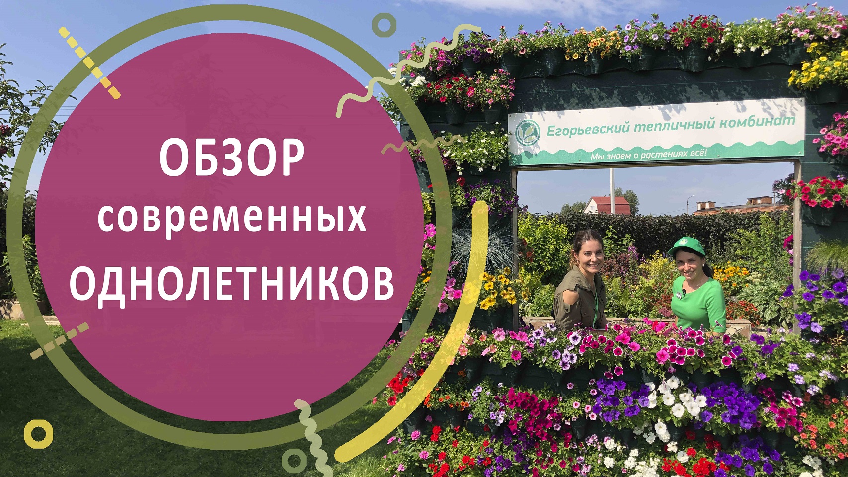 ОБЗОР современных однолетников в Егорьевском тепличном комбинате