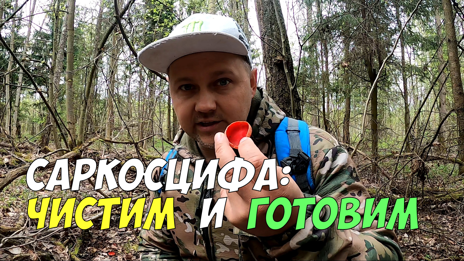 Грибной сезон: как очистить и приготовить саркосцифу. Бабушкины ушки открывают свои секреты