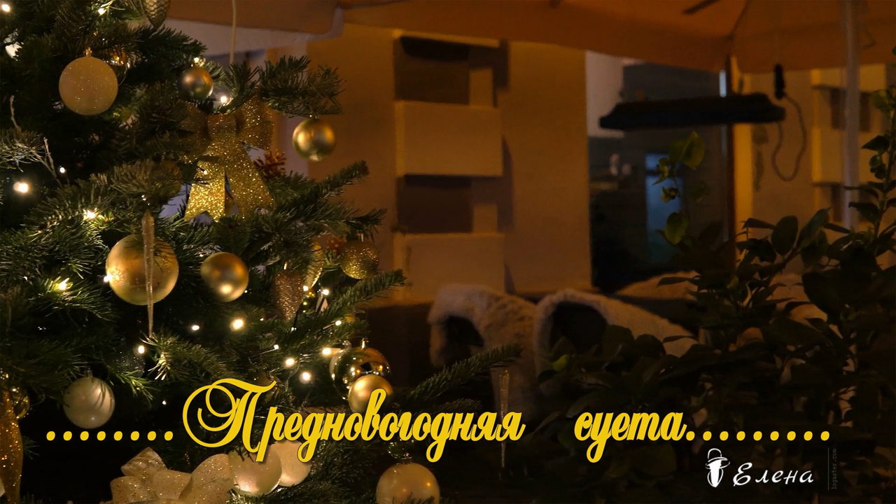 Предновогодняя суета   *