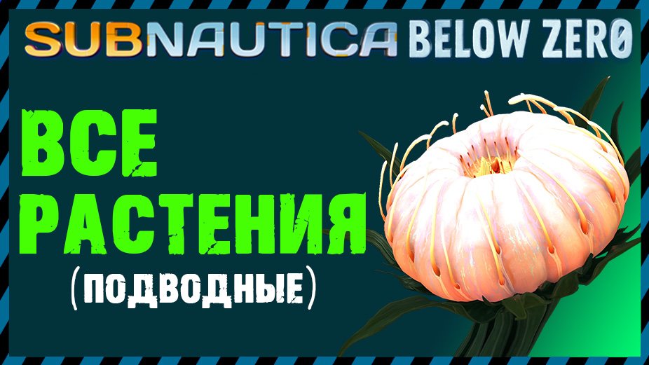 Subnautica Below Zero ВСЕ РАСТЕНИЯ (подводные)