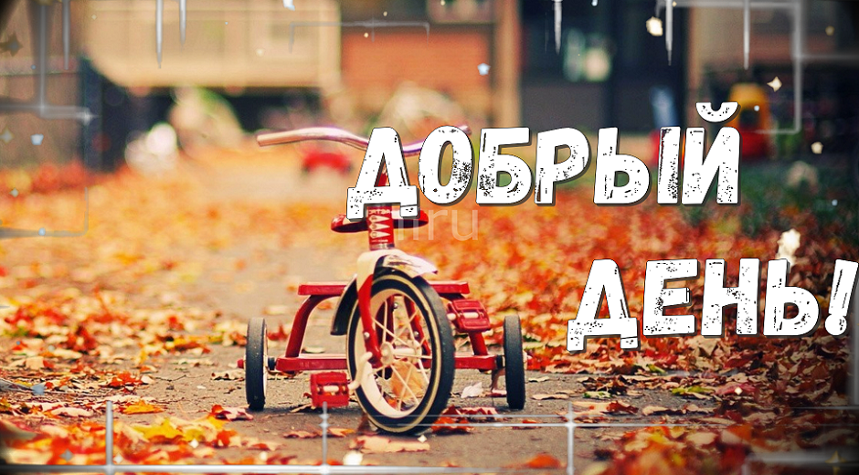 Добрый День! Всем Привет!