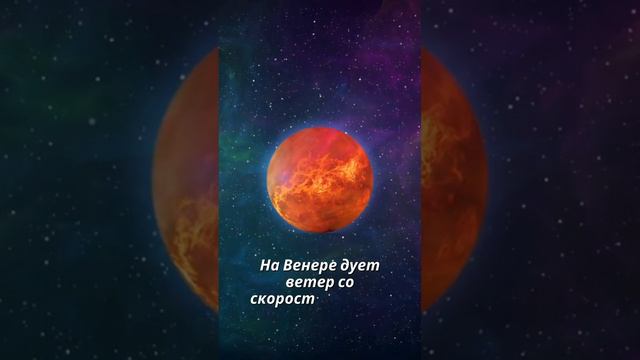 Венера 💨
