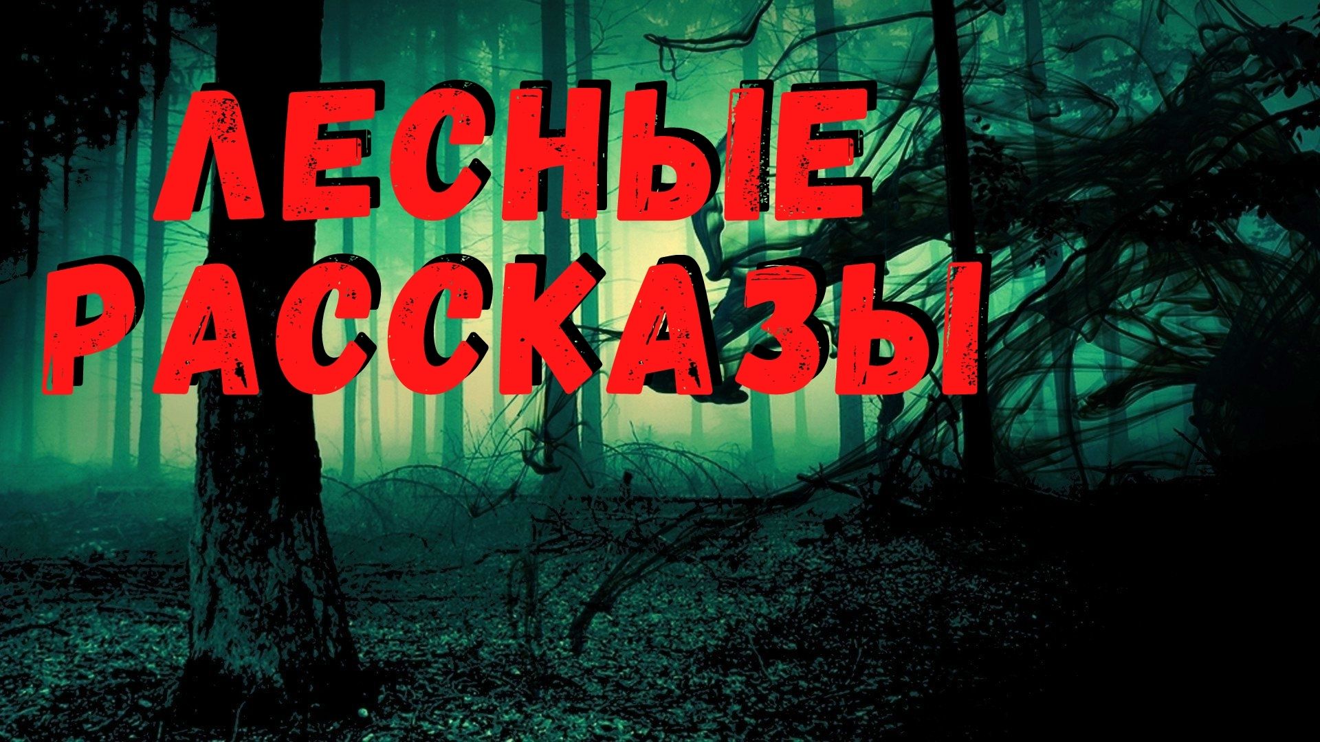 ЛЕСНЫЕ РАССКАЗЫ. Страшные истории