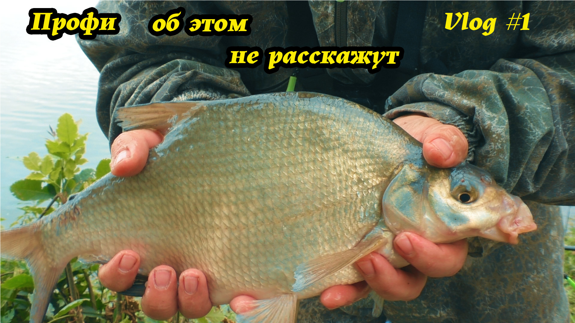 5 правил УСПЕШНОЙ ловли ЛЕЩА на реке