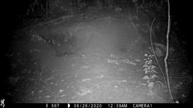 Продолжаем наблюдать за жизнью маленьких обитателей