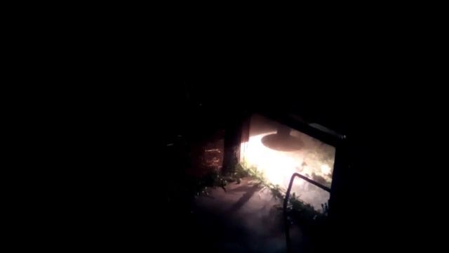 Ночная жизнь моих племенных Московских утят (шипунчиков) разных мастей