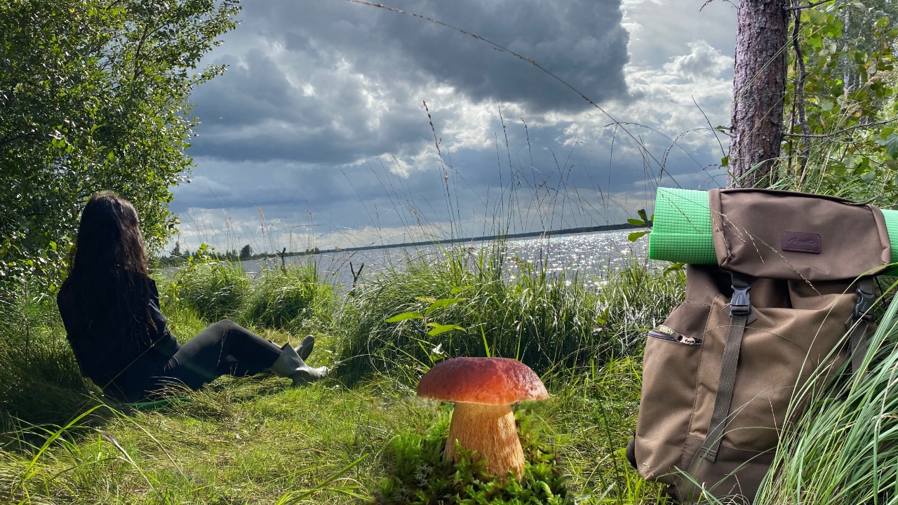 Поездка за грибами, я жарю грибы на огне во время урагана, ТИХАЯ ОХОТА