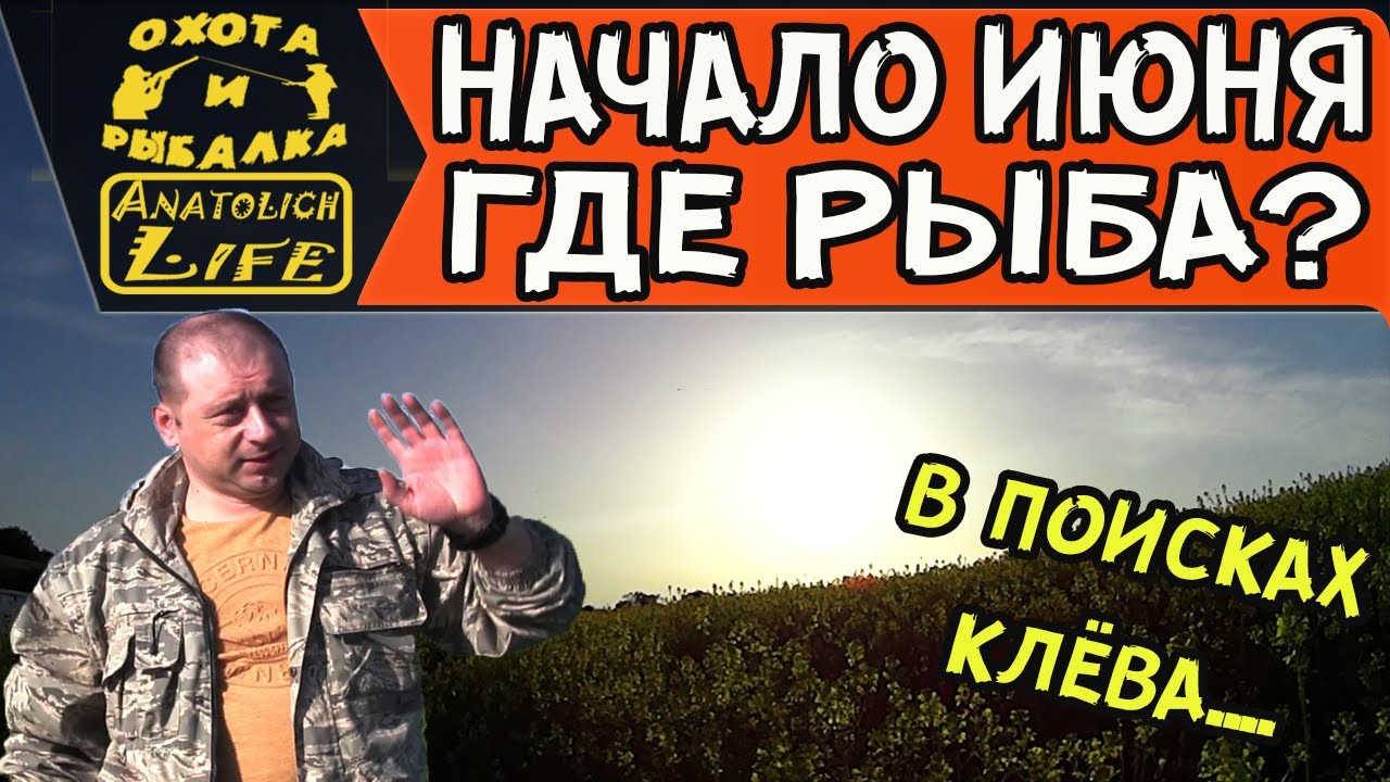 Рыбалка, где искать рыбу.