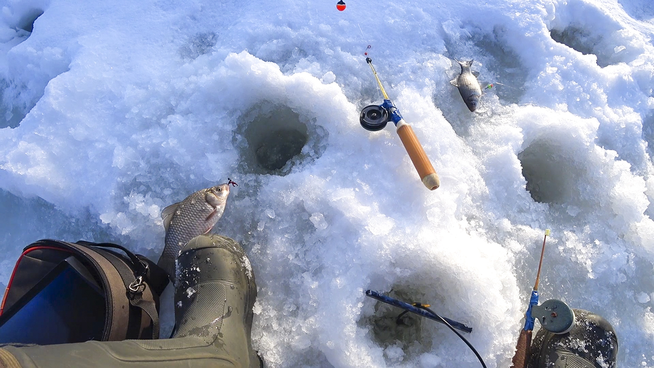 ТУТ СТАИ карасей! Рыбалка на поплавок, ПОДВОДНАЯ СЪЕМКА зимой