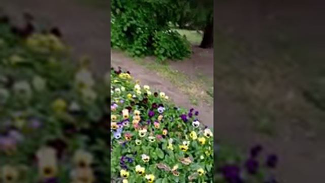 610.2.31.☆.ᱦ.43.21 ; ЧЛЕН. С. ГАРМОШКА.  PROPHET. SHCHERBAKOV. ЩЕРБАКОВ АРТЕМ .НЕУДАЧЬНО. САМОЕДСТВО