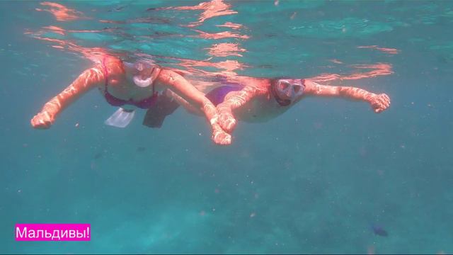 Лучшее на Мальдивах!Песчаная коса,акулы и скаты!