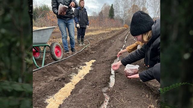 Новости с 15.09-27.10.2022