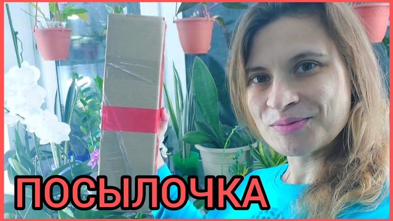 Маленькая #ПОСЫЛКА ?Одно-единственное РАСТЕНИЕ?Но очень желанное? #цветы #распаковка #монстера