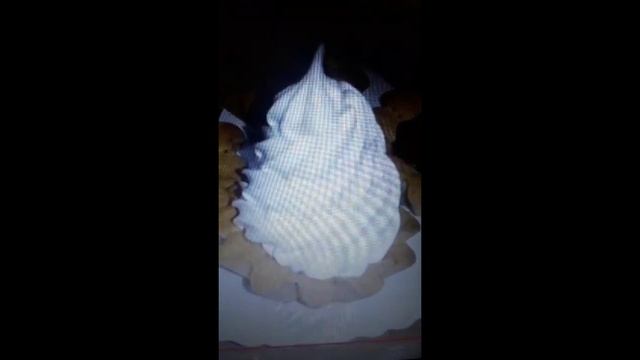 Когда руки растут не с того места Shorts корзиночки с белковым кремом (ожидание и реальность)