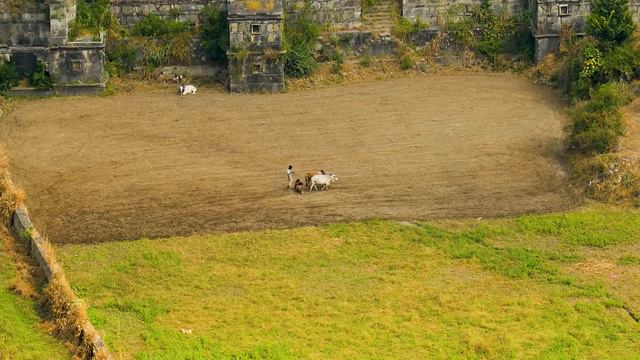 Индия. HD Видео