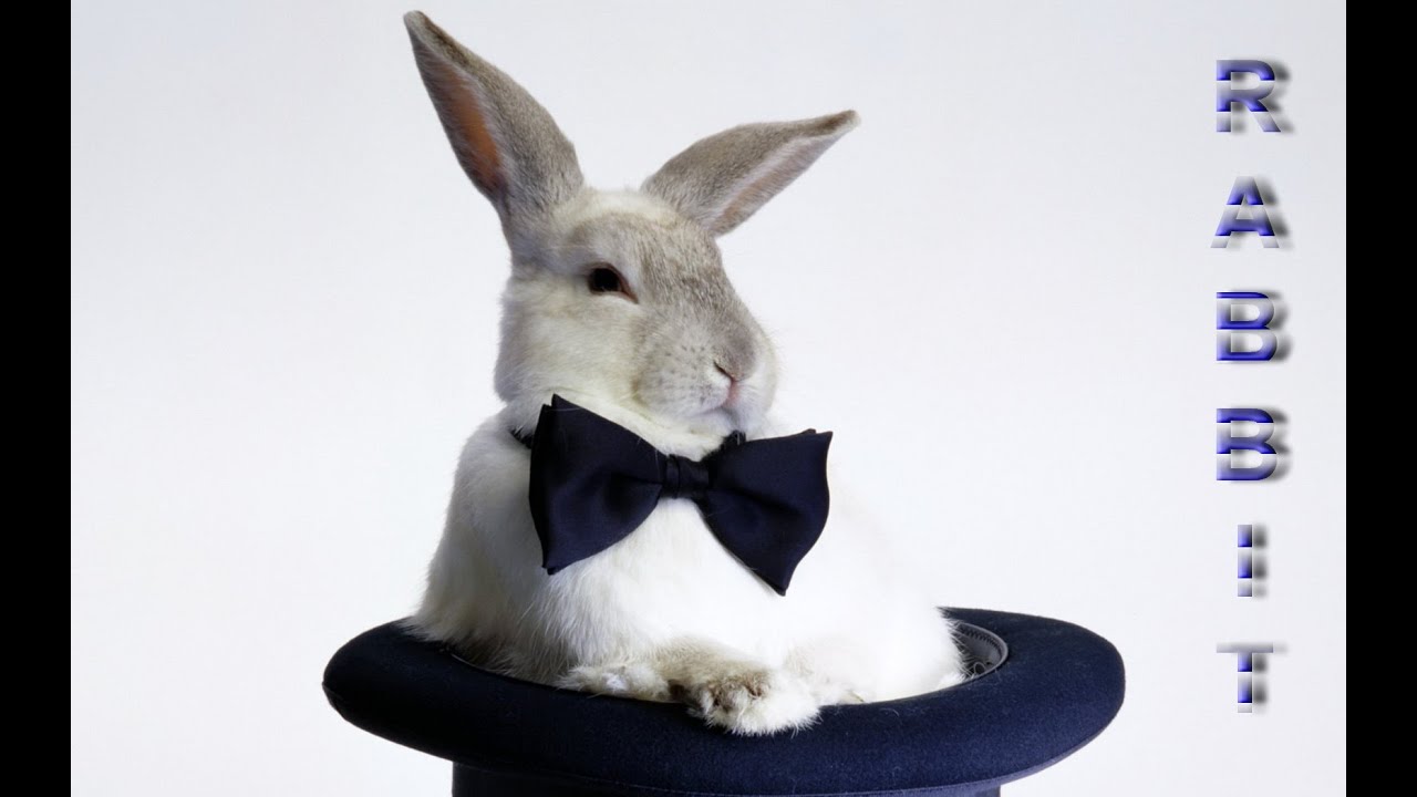 Кролик   В Гостях...