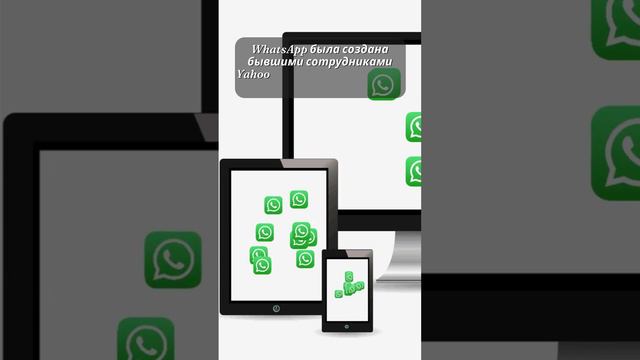 Факт про WhatsApp 📞