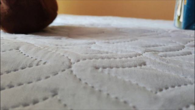 СКИБИДИ звери 18