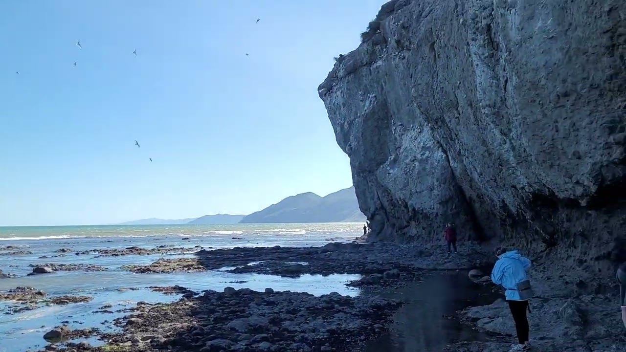 Сахалин. Бухта Тихая-3