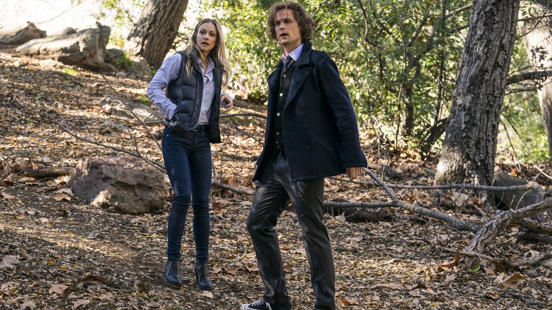 Мыслить как преступник - 10 сезон 4 серия / Criminal Minds